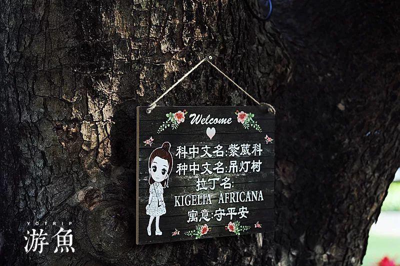 五彩蛇大作战