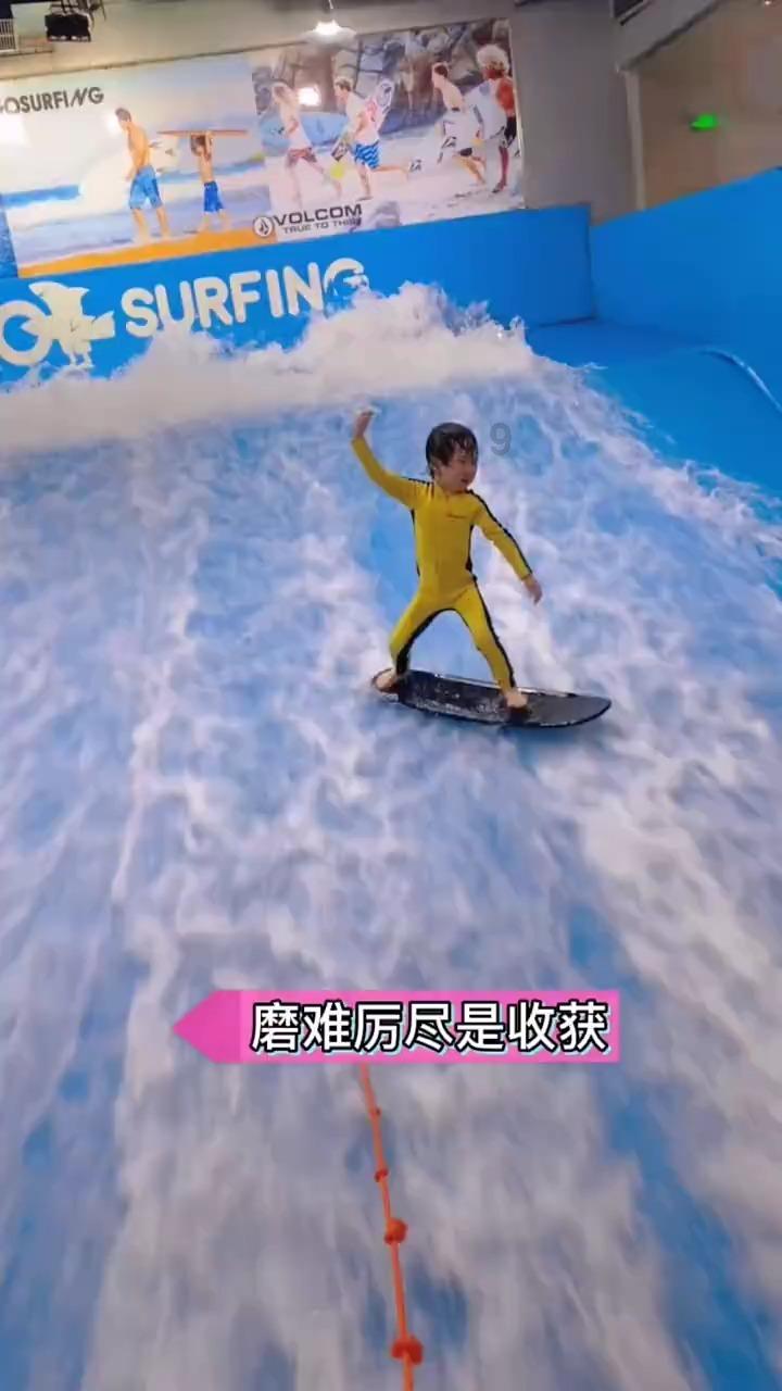 动物帮帮忙保卫家园