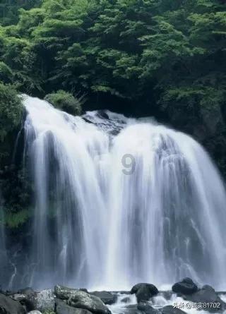 逗小猴开心系列209