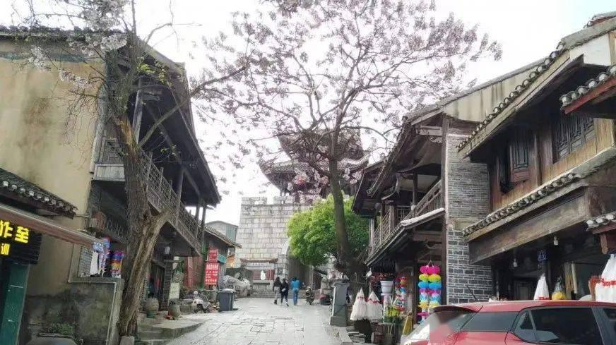 逃离椰子岛
